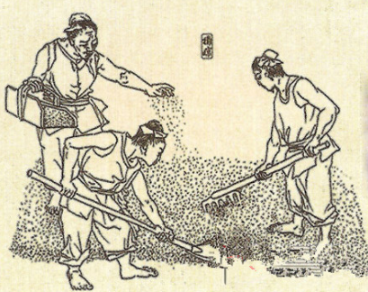 窖藏原酒.png 窖藏原酒.png