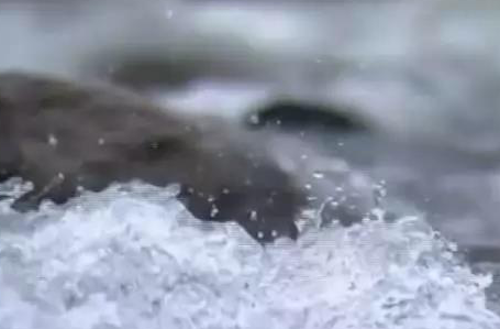 泸州品牌酒.png 泸州品牌酒.png