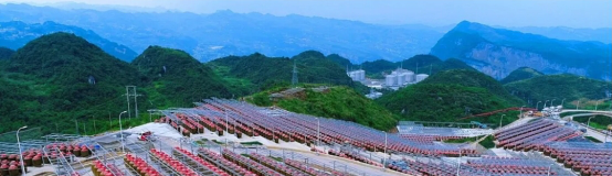 泸州品牌酒png 泸州品牌酒png